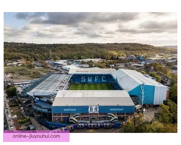 纽卡斯尔联客场狂胜谢菲尔德联八球大胜震撼球迷