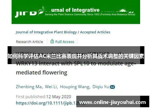 如何科学评估AC米兰比赛表现并分析其战术调整的关键因素