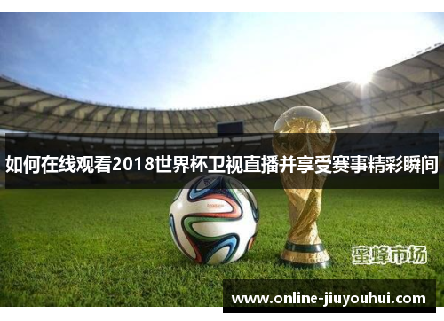 如何在线观看2018世界杯卫视直播并享受赛事精彩瞬间